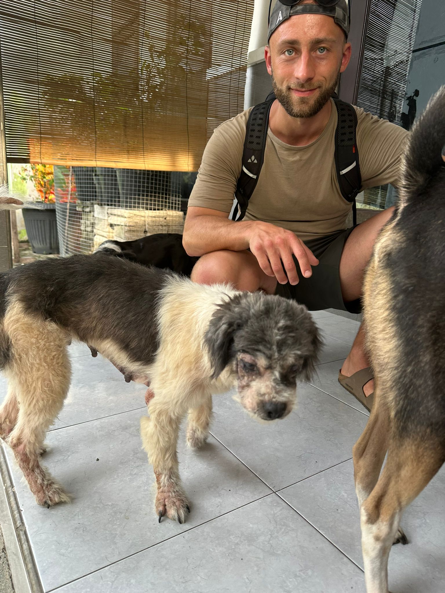 Berta - Bild 2